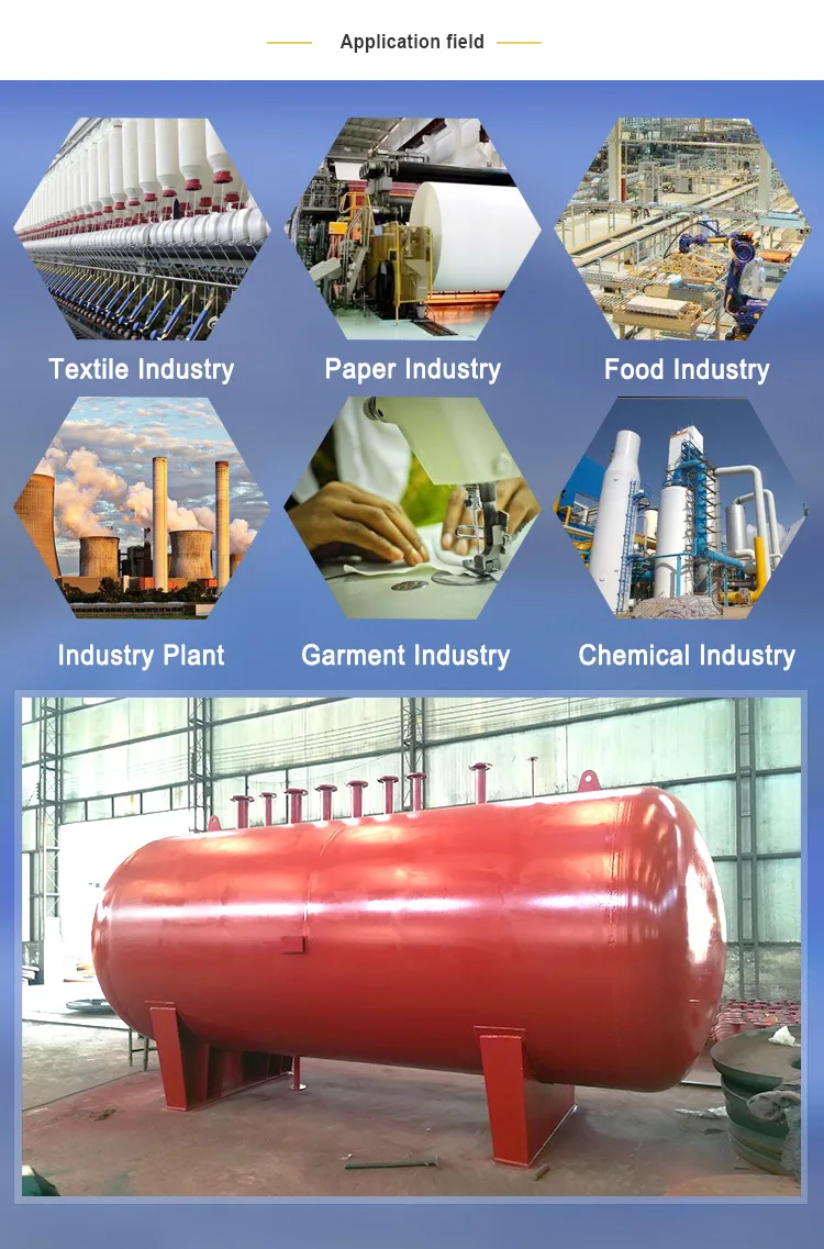 10000 L LPG Storage 250 Gal Gas Biogas Storage Tank Price