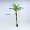 Cocotero nuevo 210cm