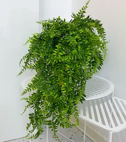 78cm Knstliche Persische Farn- und Efeu-Bltter Wanddekoration Plastik  Hngende Hochzeits- und Partydekoration Balkon-Deko Raumdekoration  Ranken-Gras-Wand| Alibaba.com