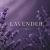 100ml-lavender