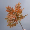 13-head Red Single-stem