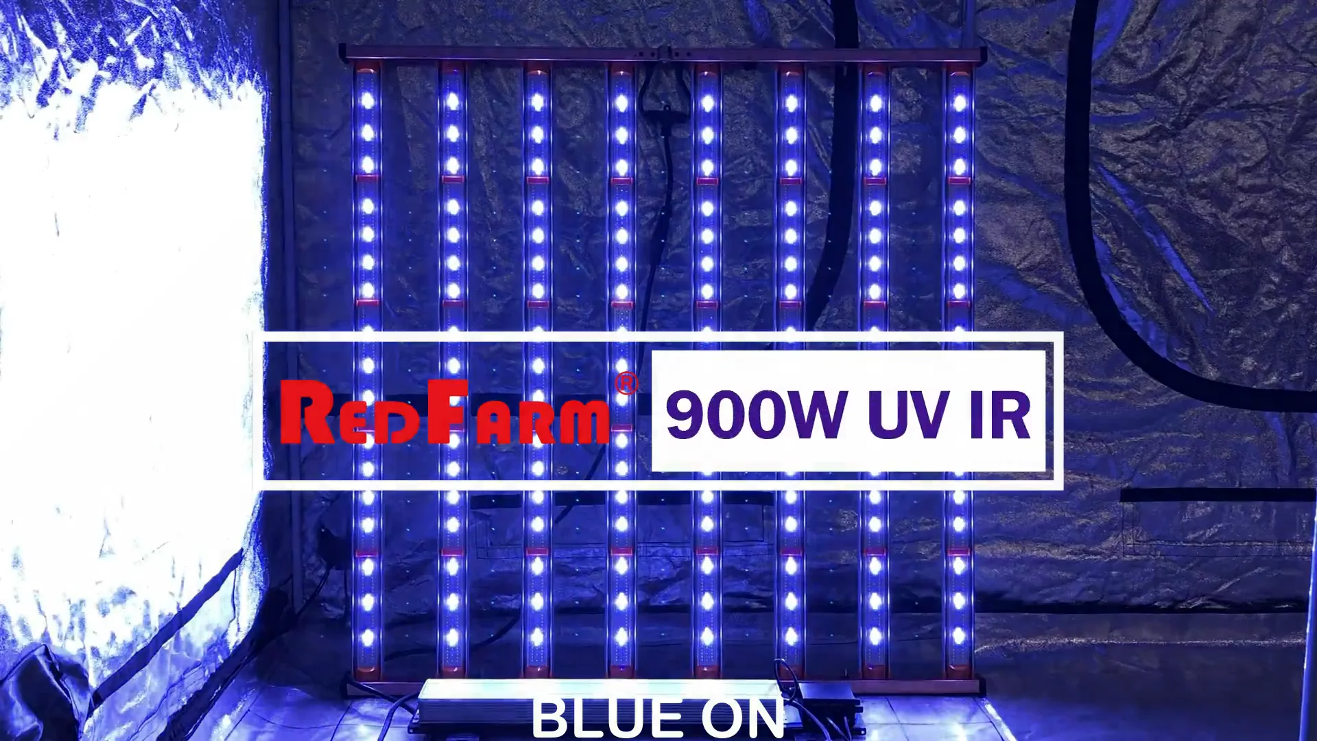 Mint White Samsung Lm301h Evo 1000w Redfarm Us Stock Dropship Indoor