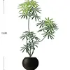 Peacock Wood 1.6m [Luxury Edition] Black Sphere