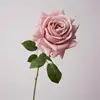 Autumn Pink