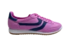 Viola