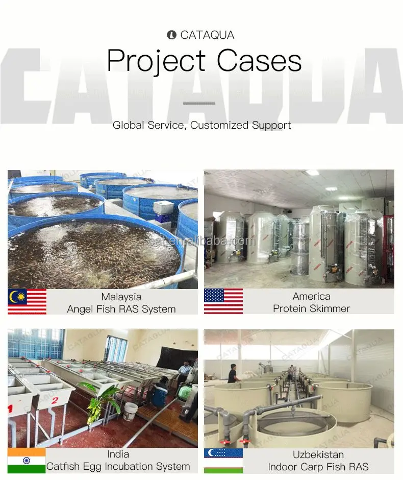 CATAQUA Container Load Crab Fattening Box Crab Farming RAS System