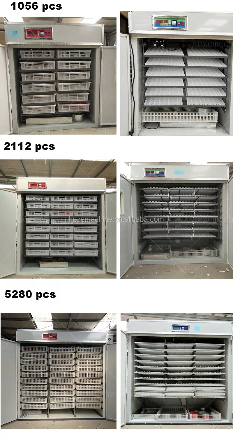 Egg Incubator1.jpg