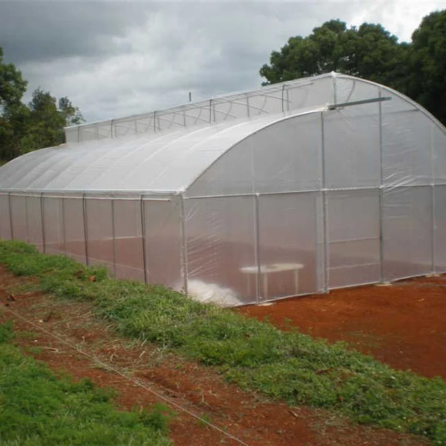 Winter Greenhouse Film