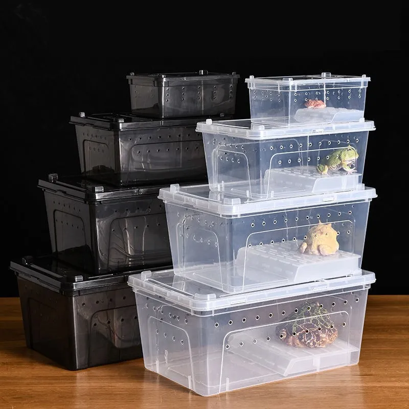 Portable Transparent Snake Breeding Box Faunarium Critter Keeper For ...