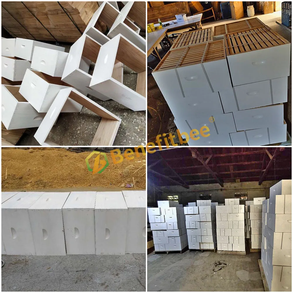 Huangshan Benefitbee Beehive Co., Ltd. 3