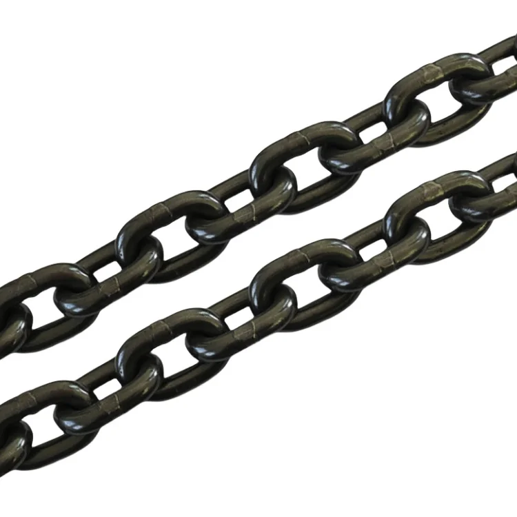 Circular Chain Hoist Lifting Tool for Heavy Objects Manual Operated Chain Hoist