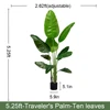 160 cm verde