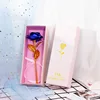 Rosa blu con scatola rosa