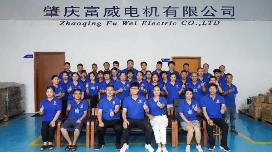 FUWEI Single Head Single Phase Asynchronous Electric Motor for Sale