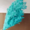 Nylon blue