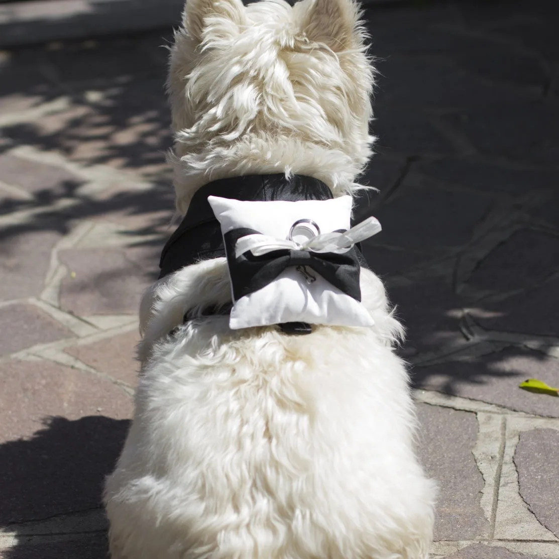 Bride poses with her ring bearer dog