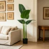 Green Model C - 90cm