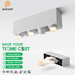 PULUOTI 40W CE Rohs LED Square Spotlight Modern Commercial Indoor Ceiling Mounted Lighting White Black Aluminum Exposed Surface