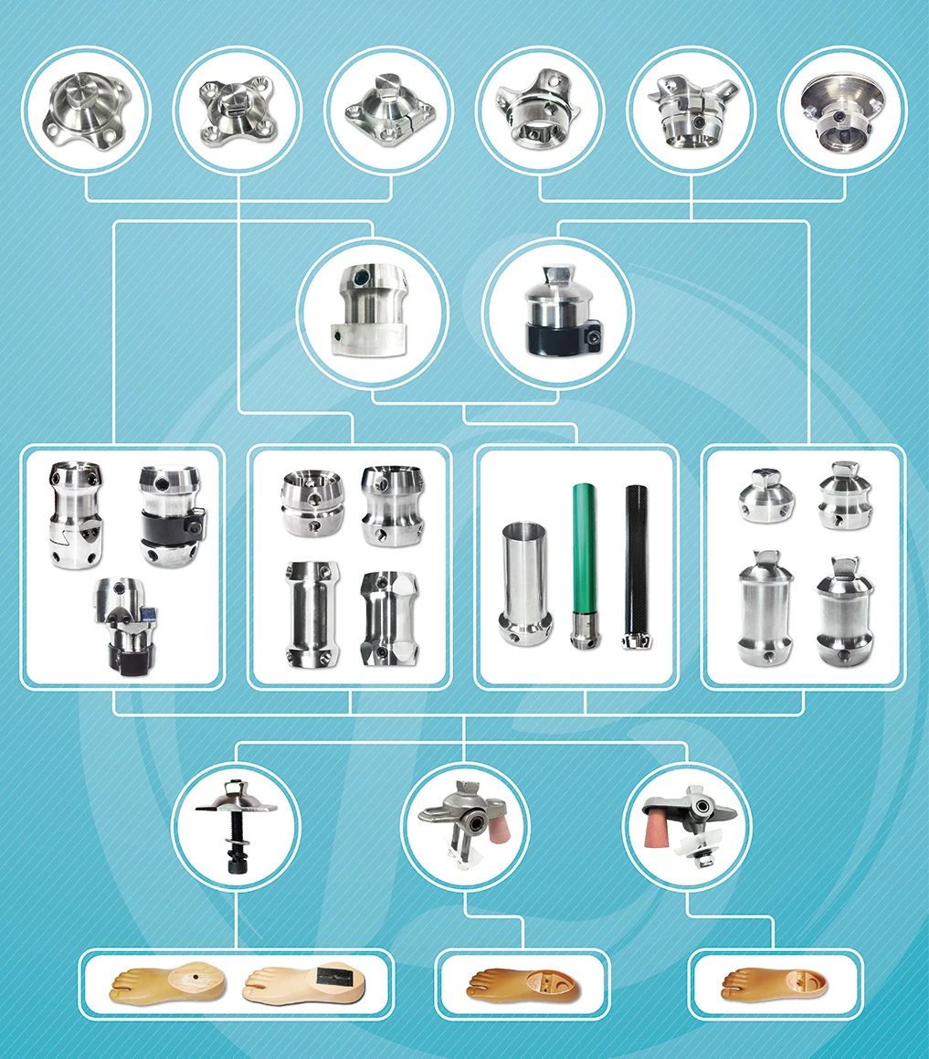 Artificial Lower Limb Prosthesis, Sach Foot Prosthetic for Amputation, Prostheses Legs