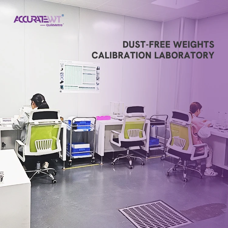 Scale Calibration Weight F1 Class 100g test Weight Masas patron
