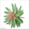 Green+red-2