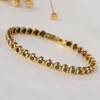 Gold-Black ZIRCON