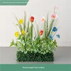 ป๊อปปี้สีชมพูอ่อนและทิวลิปสีส้ม