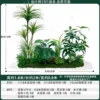 nandina1.5m long