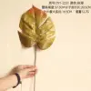 DY1-2231 Autumn Green