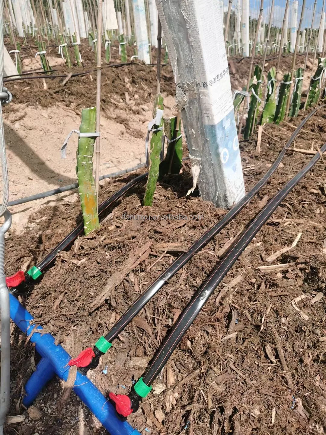 2024 Irrigation System 16mm Pressure Compensation Drip Tape 1.0mm