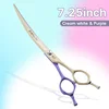 7.25 purple&cream