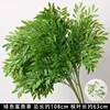 Ricchezza Verde Erba/Gambo