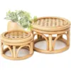 rattan