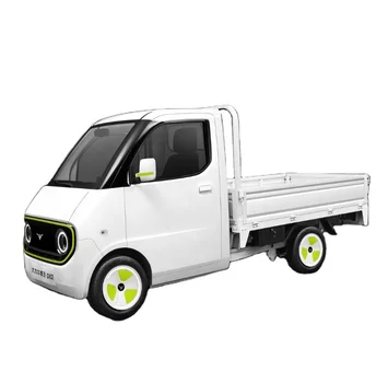 Mighty Bull Demon D02 micro Pallet truck  kingofbull electric mini van trucks new energy cargo van trucks for city delivery