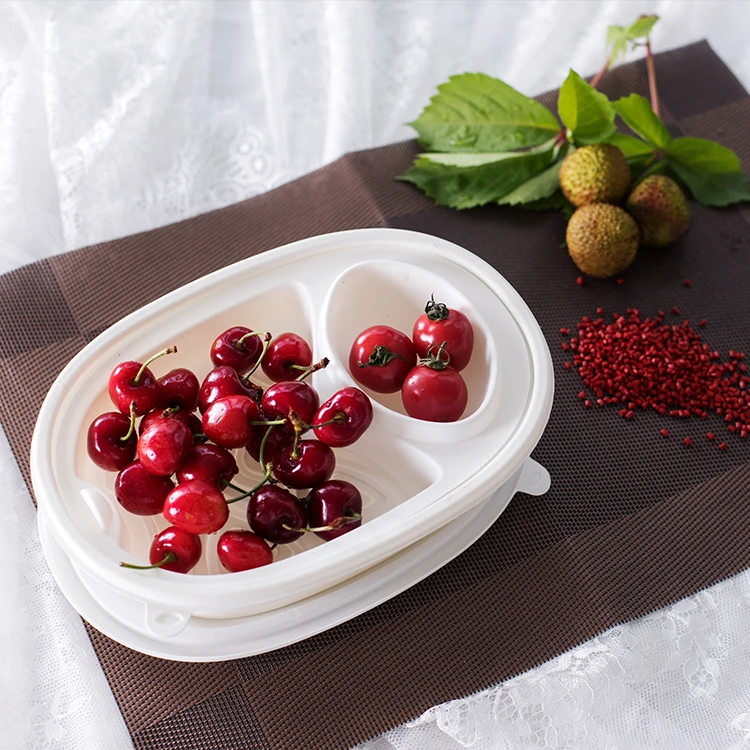 Biodegradable rice salad soup noodle ramen disposable bowls with lid