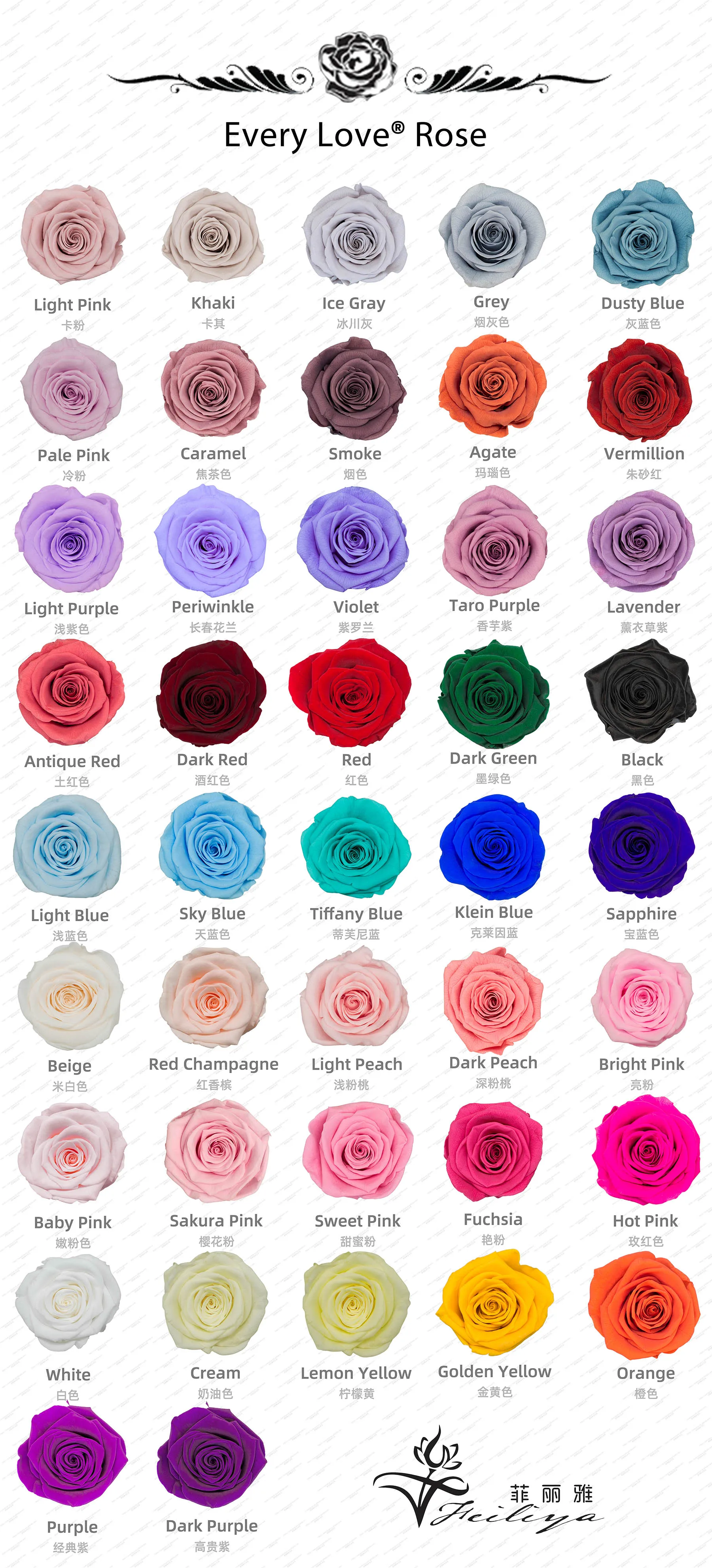 Every Love 7-8 Cm Preserved Rose 42 Colors Forever Stabilized Eternal ...