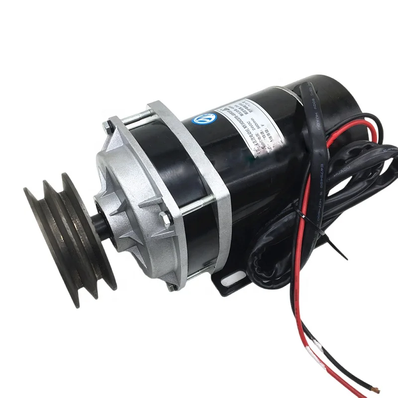 450W 500W 600W 650W 24V-60V MY1020ZXF Brushed DC Motor with Dual
