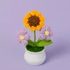 Small Sunflower + Purple Double Puff - Potted Plant