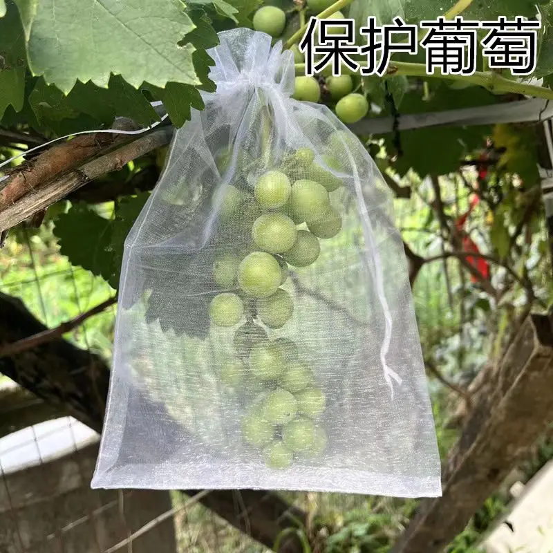 用于番石榴、樱桃、杨梅树和蔬菜的植物防虫网和鸟类防护网 - 防蚊蝇网，中国制造