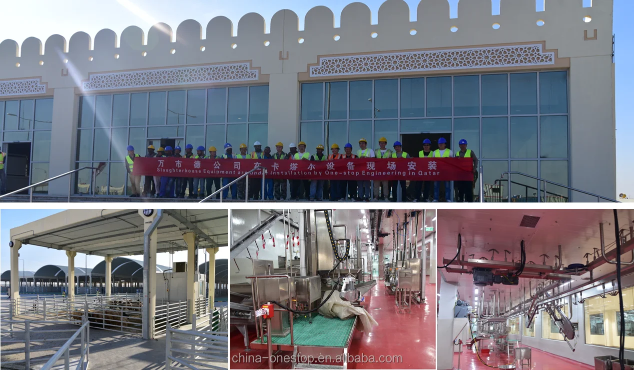 Beef slaughterhouse processing equipment