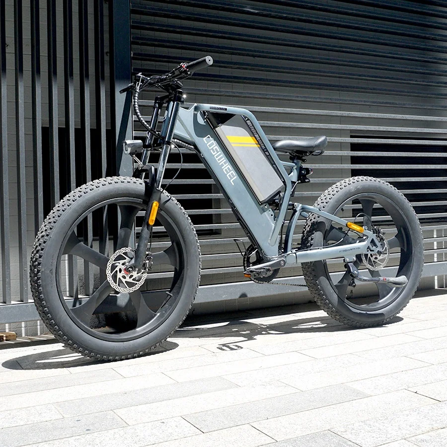 Alibaba.com: Baike OEM High Power Fat Tire Electric Motorbike with CE ... - Electric Motorbike Tire Customization Options
