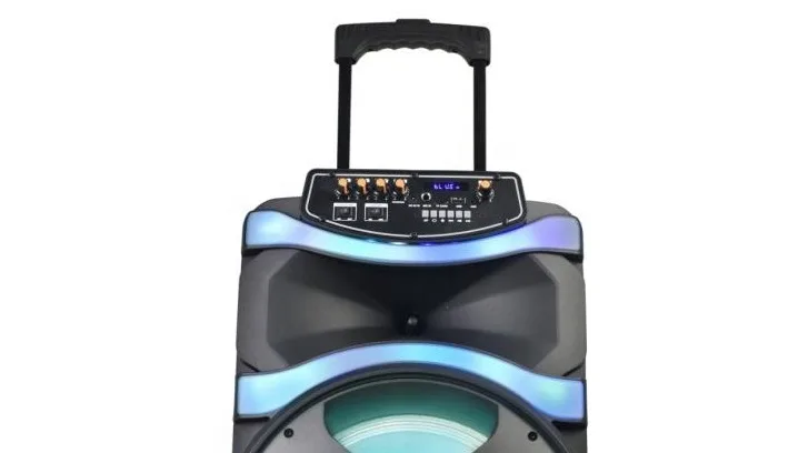 12 Inch Portable Caixa De Som Trolley Stereo Sound Box Professional ...