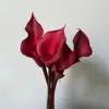 Calla red charm-1 tie 10 branches