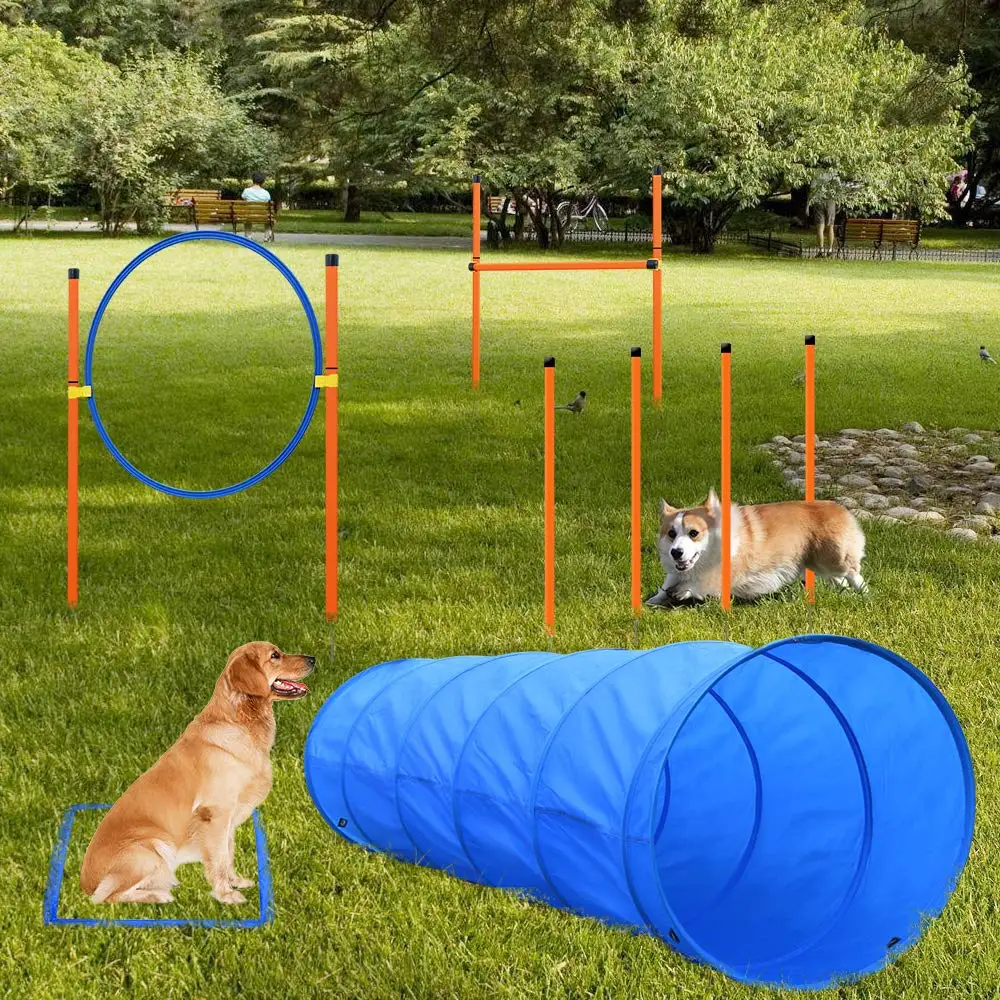 dog agility training set obstacle course