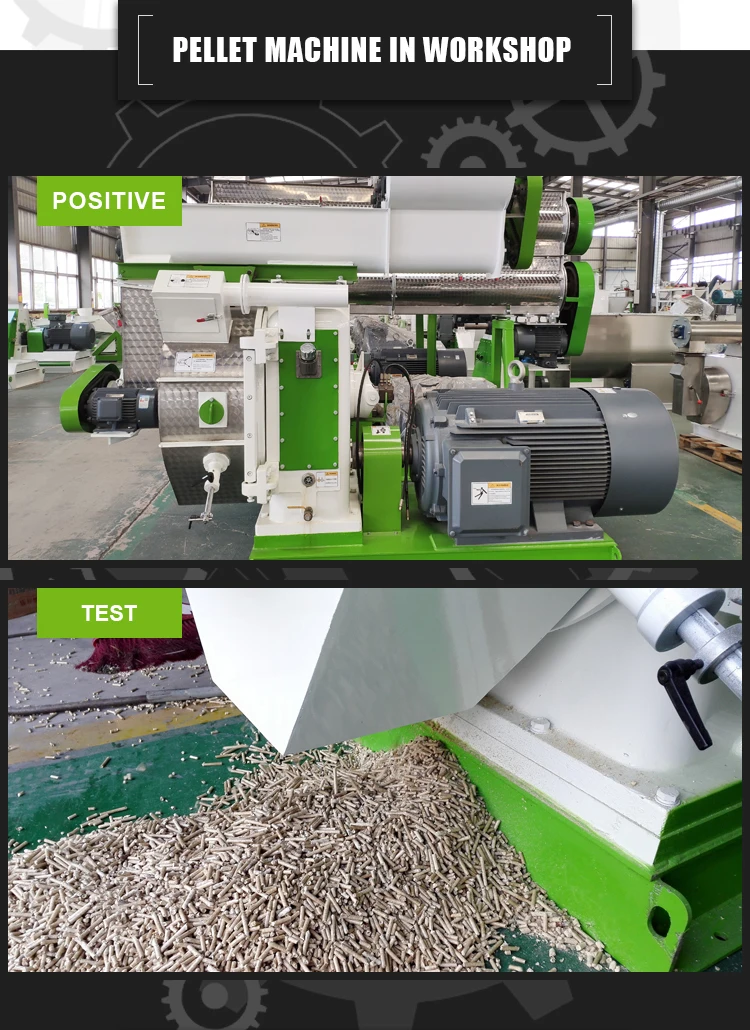 Reliable Small Pelletizer Wood Pellet Press / Complete Alfalfa Or Grass Pellets Mill / Wood Pellet Milling Machine