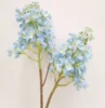 Blu-chiaro