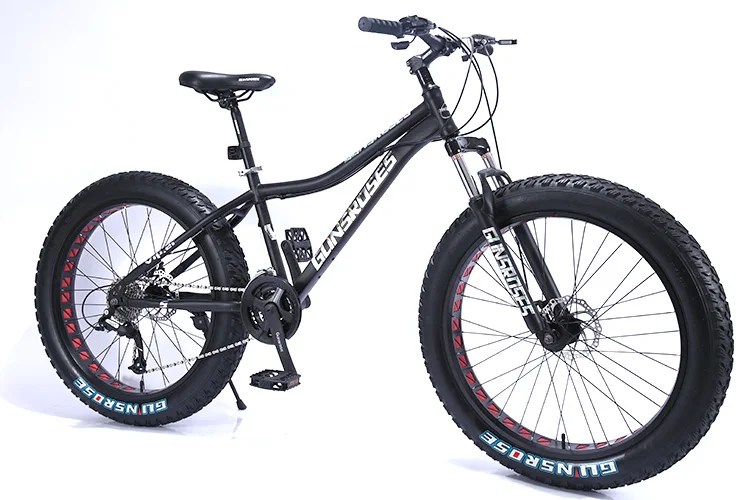 best fat tire bike for the money