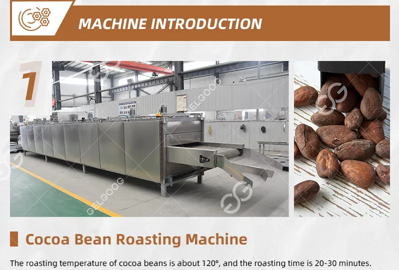 Cocoa Bean Processing Machines Plant Cocoa Powder Crusher Machine Cocoa  Milling Machine for Sale Philippines