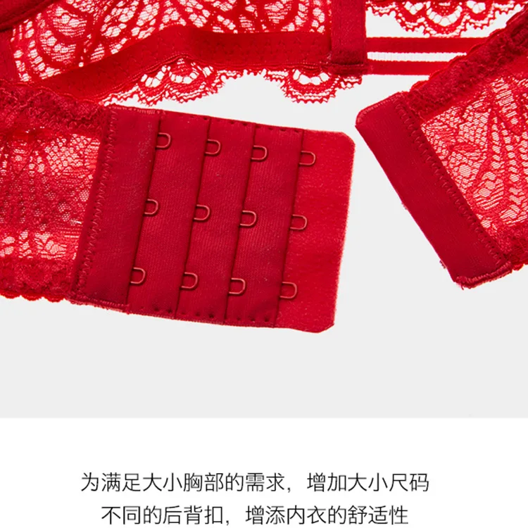 Womens Bra Panty Set Lace Embroidery Ladies Sexy Underwear Set