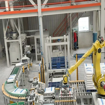 Automatic Multi Function Customized 4-6 Axis Robot Palletizer for 30kg Bag/Carton